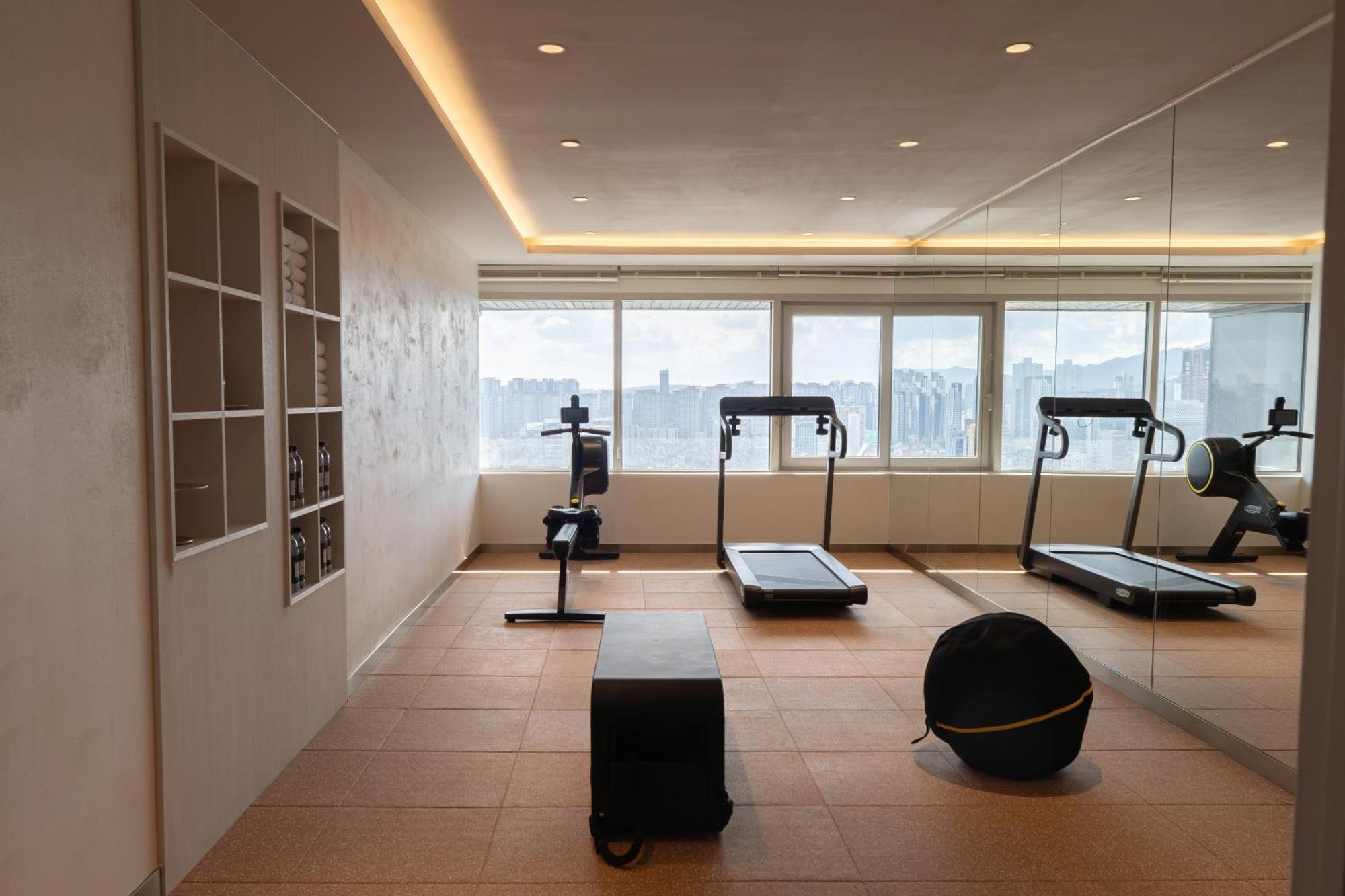 Hotel Eliena Gangnam 4*